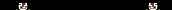Ferret1B.gif